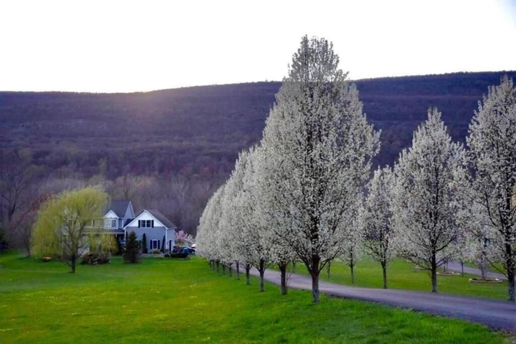 Malkita'S Mountain View Villa Woodbury  المظهر الخارجي الصورة